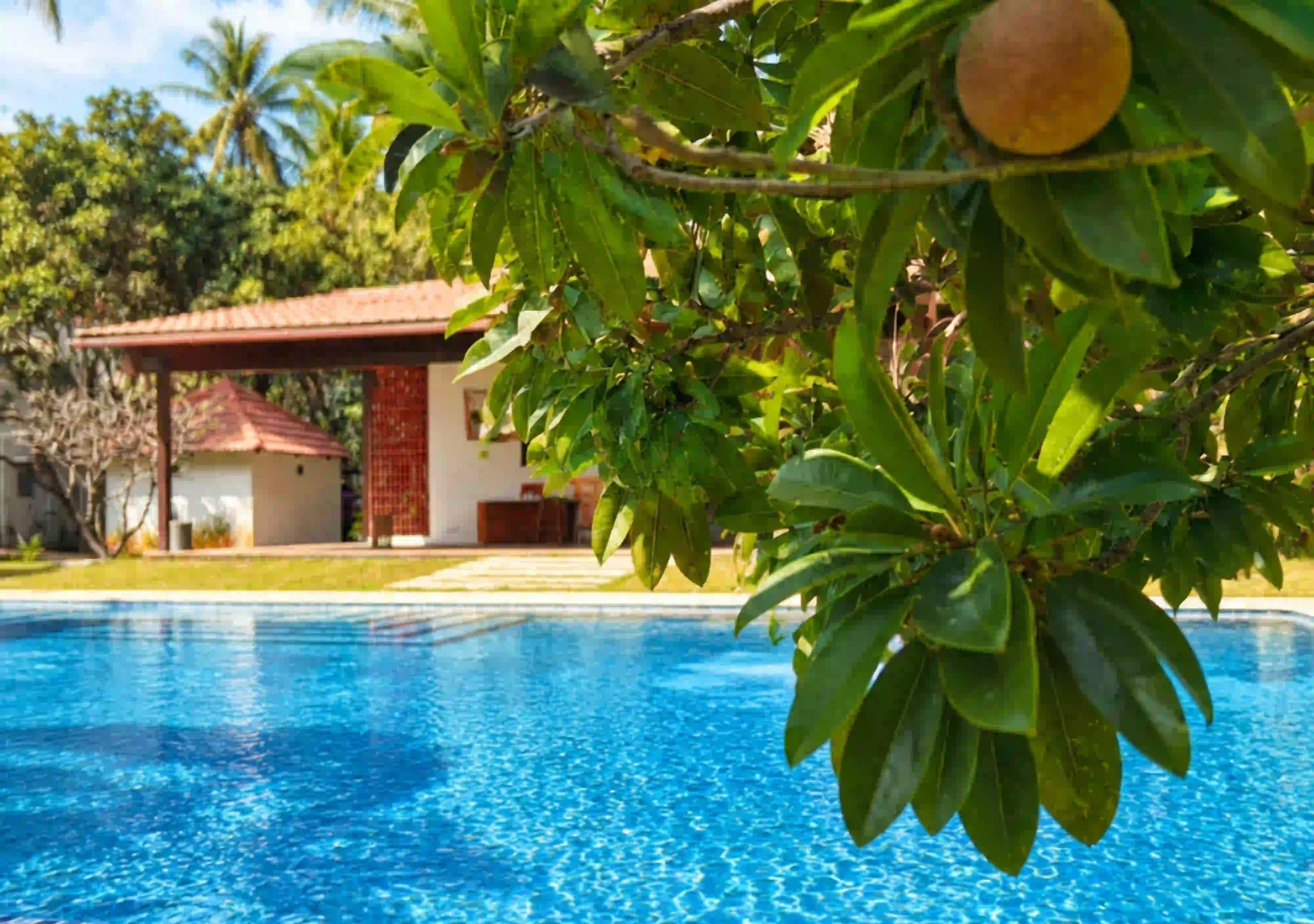 pool